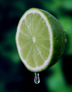 sliced lime