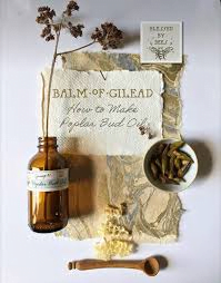 Balm Of Gilead